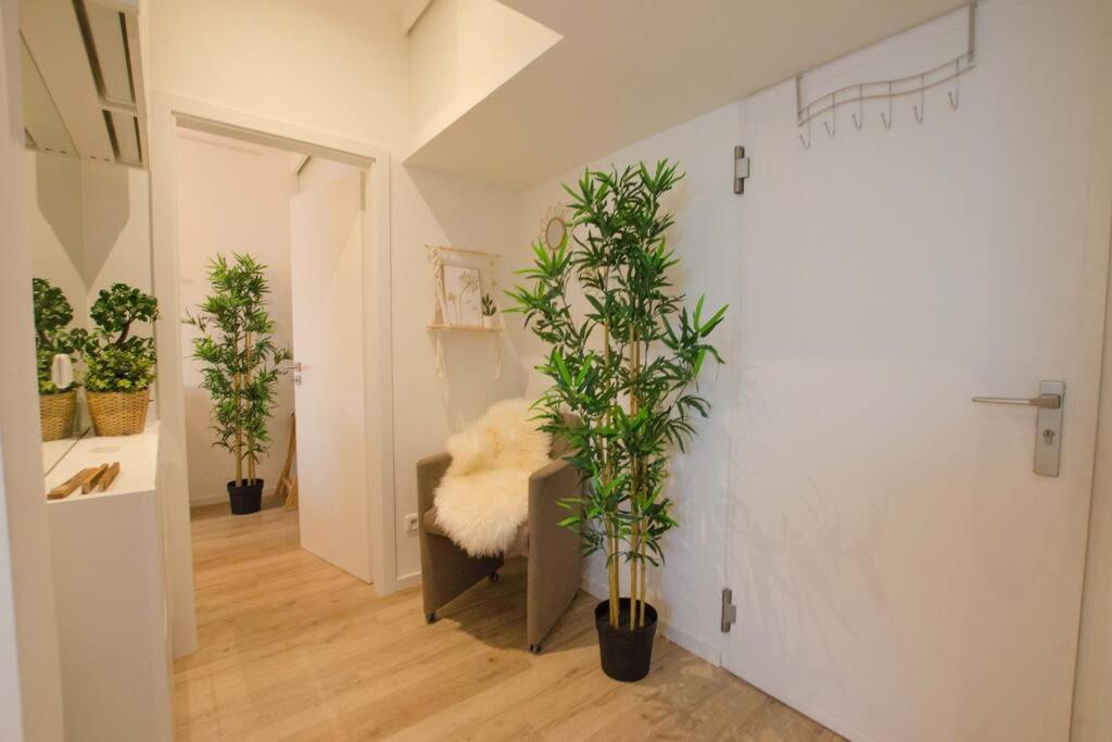 Casarina - Gemuetliches Apartment Im Zentrum Augsburg Buitenkant foto