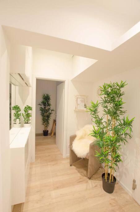 Casarina - Gemuetliches Apartment Im Zentrum Augsburg Buitenkant foto